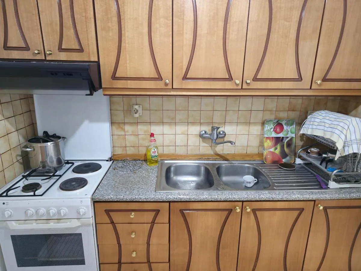 Traditional House Shapllo Gjirokastër Appartement
